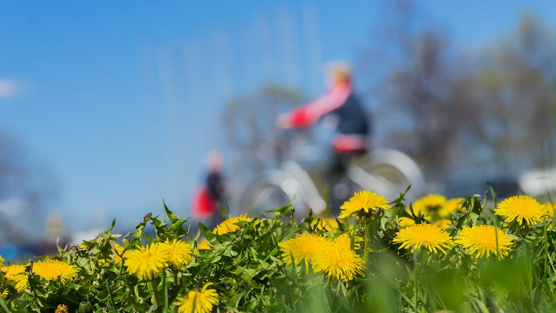 Abby McCloskey: Bring back the ‘1990s summer.' Moms need it 