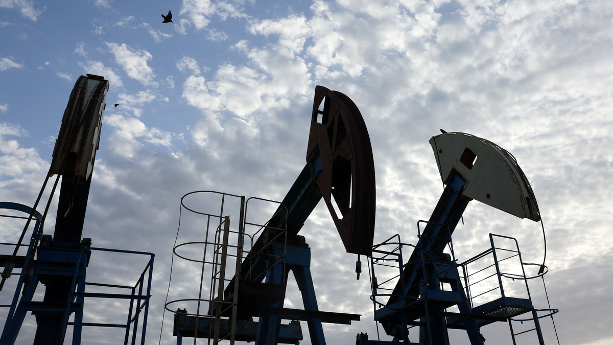Birds fly over pump jacks at the Airankol oil field operated by Caspiy Neft in the Atyrau region, Kazakhstan, April 20, 2026. REUTERS/Pavel Mikheyev