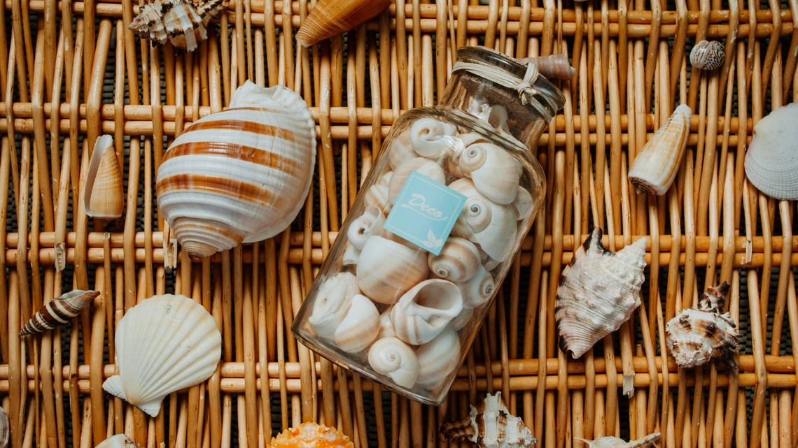 Bring Coastal Charm to Your Vanity With This Anthropologie-Inspired Seashell DIY 