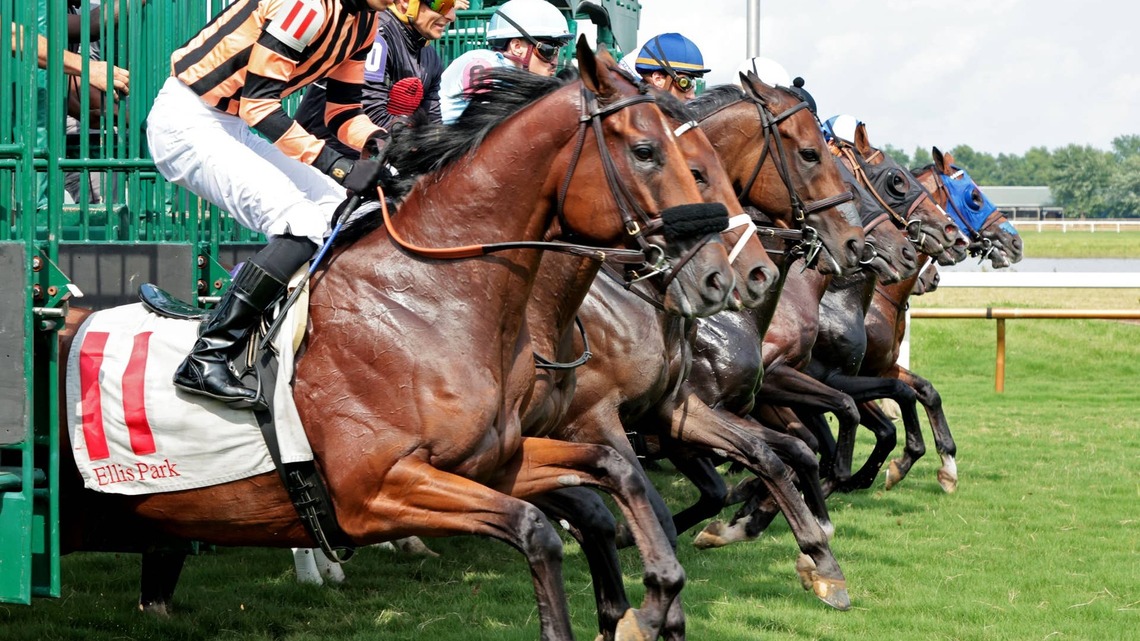 Ellis Park Concludes Summer Meet With Record All-Sources Handle 