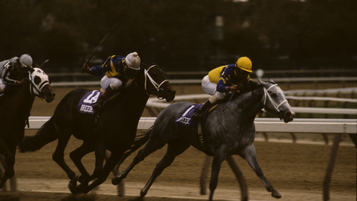 Lest We Forget: Life's Magic, Iron Lady Of The Lukas Stable 