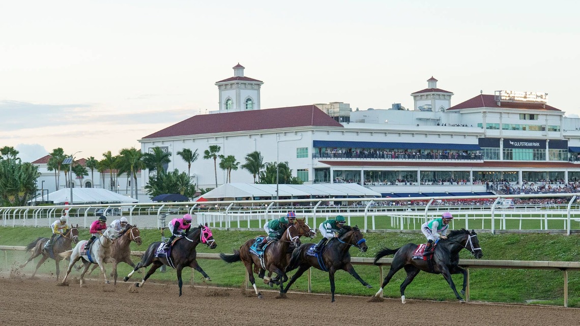 Gulfstream Trainer Under Investigation For Violation Of 30-Day Needle Suspension 