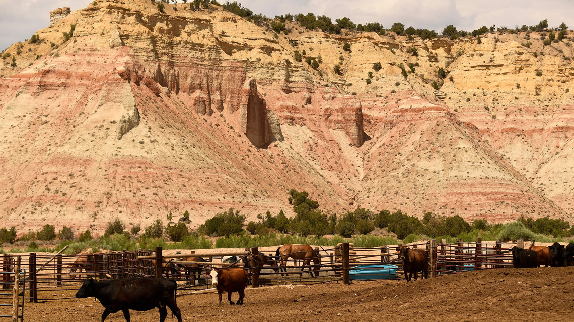 Commentary: Politicians defy the people when they take away protections from public lands 