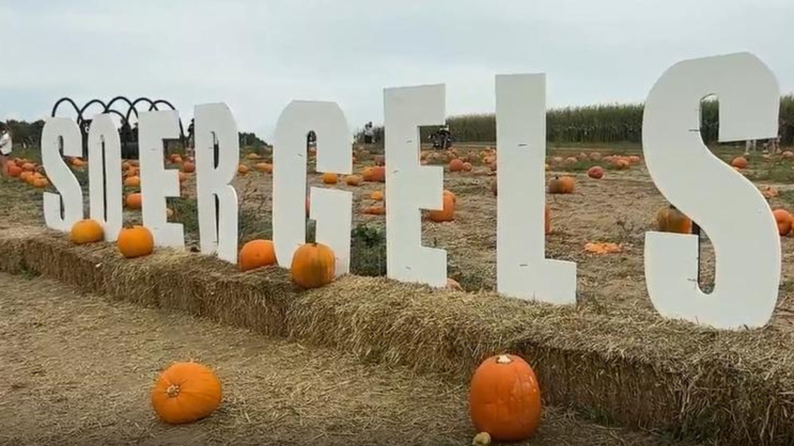 Soergel Orchards' Fall Festival brings family fun to Wexford 