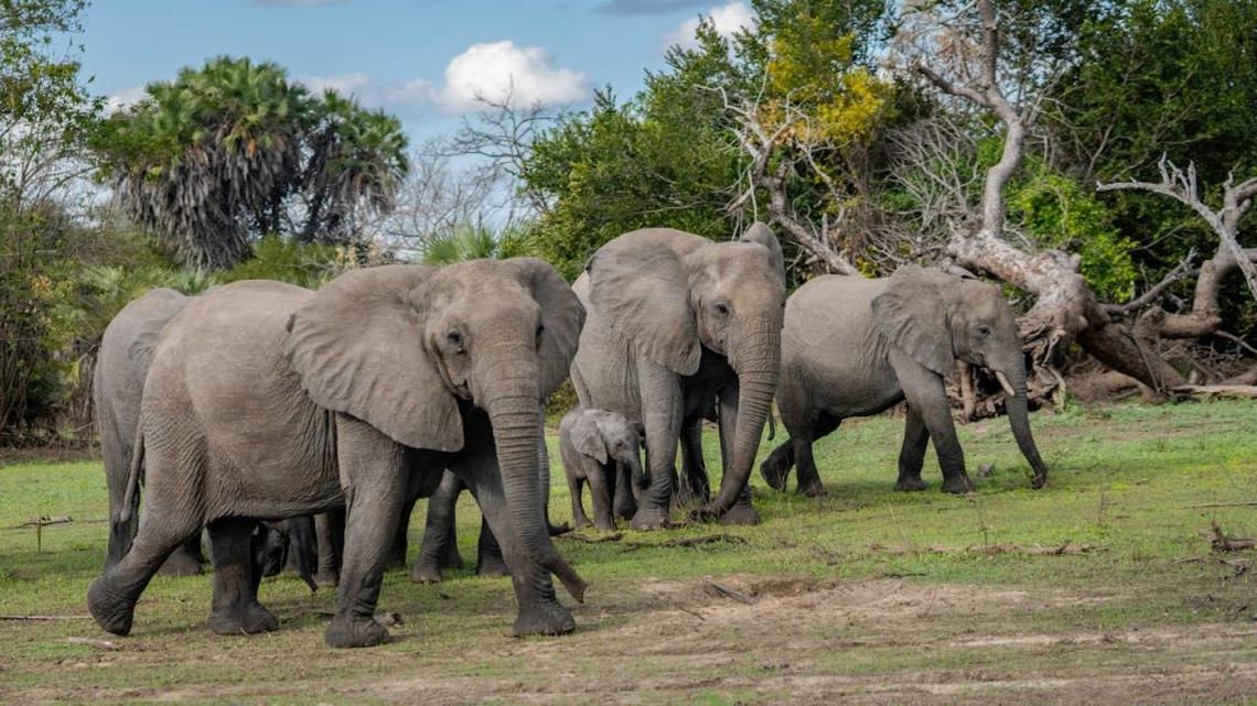  (Photo by Tomasz Dworczyk - Podróż za Milion Zdjęć via Pexels) 