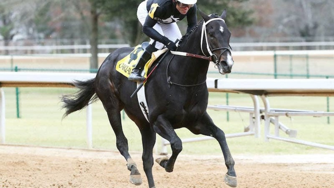 Chasing Time Retired To McDowell Farm In Arkansas For 2027 