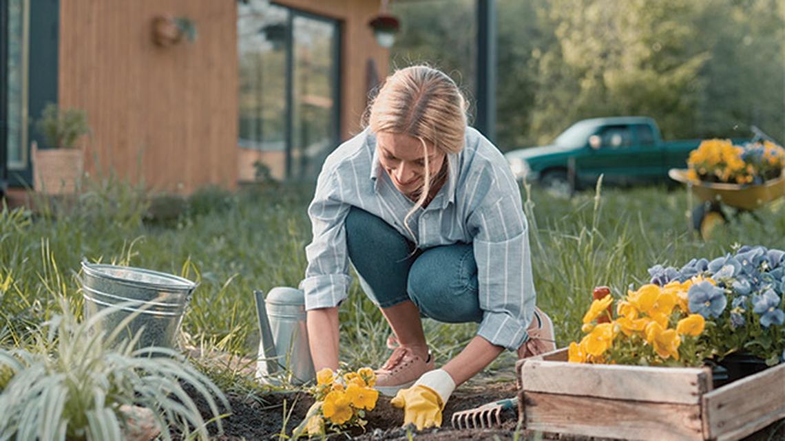
        Grow Healthier Plants (and Use Less Water) by Improving Your Soil
       