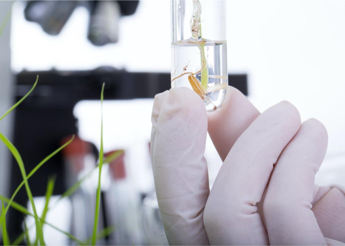  Tonhom1009 // Shutterstock 