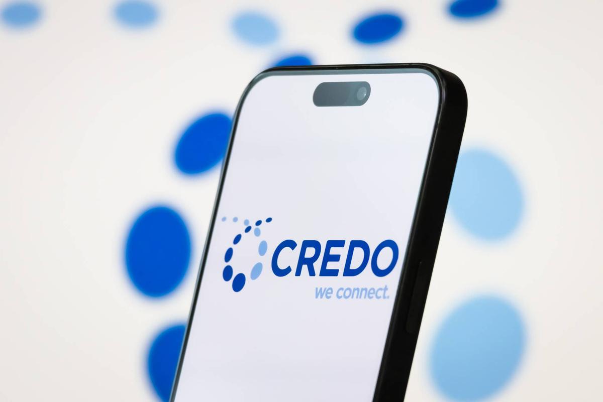  Credo stock gets a bullish Wall Street call after an AI surge. 
