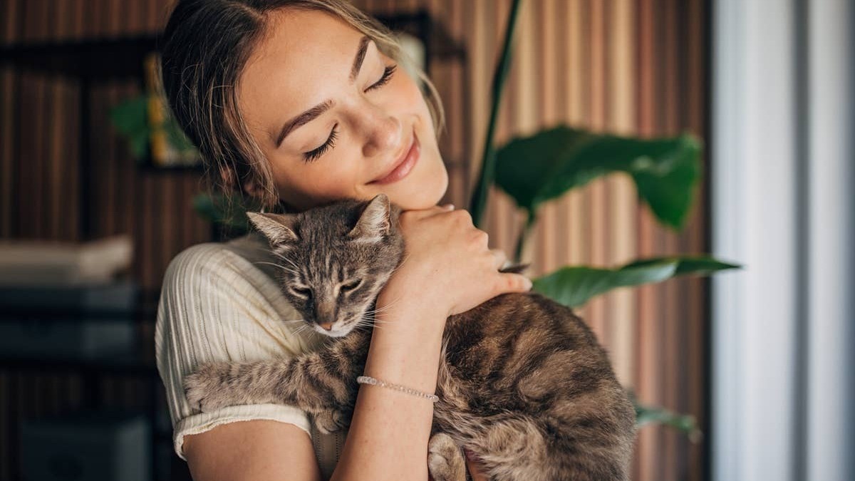 Cats have relaxed body language when they feel safe around someone. 