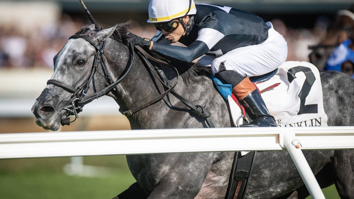 Repeat Franklin Winner Time To Dazzle Under Consideration For Breeders' Cup Turf Sprint 