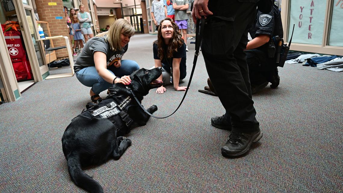 Fox Hollow Elementary School teachers pet Riley, a 10-month-old Labrador Retriever K9 therapy dog, brought for a visit by Arapahoe County Sheriff's Deputies at Fox Hollow Elementary School on May 24, 2023, in Aurora, Colorado. (Helen H. Richardson/The Denver Post/TNS)