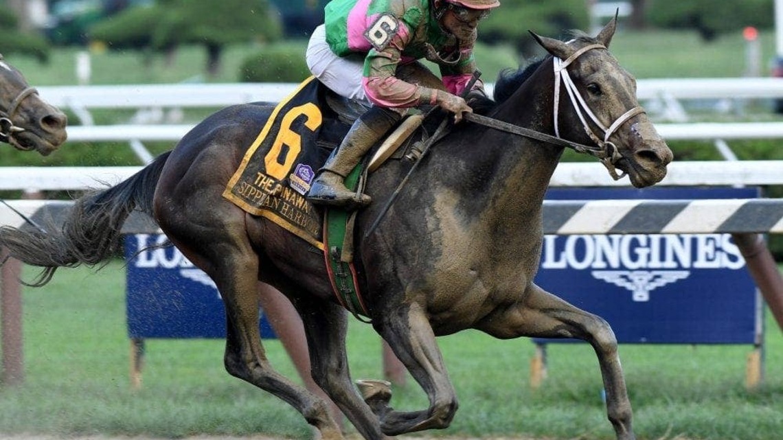 Keeneland To Sell Grade 1 Winner, Producer Sippican Harbor In Foal To Into Mischief At November Sale 