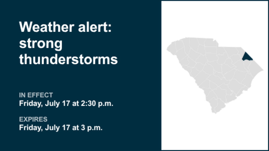 Thunderstorms with pea-sized hail in Dillon County Friday - winds gusting up to 40 mph 