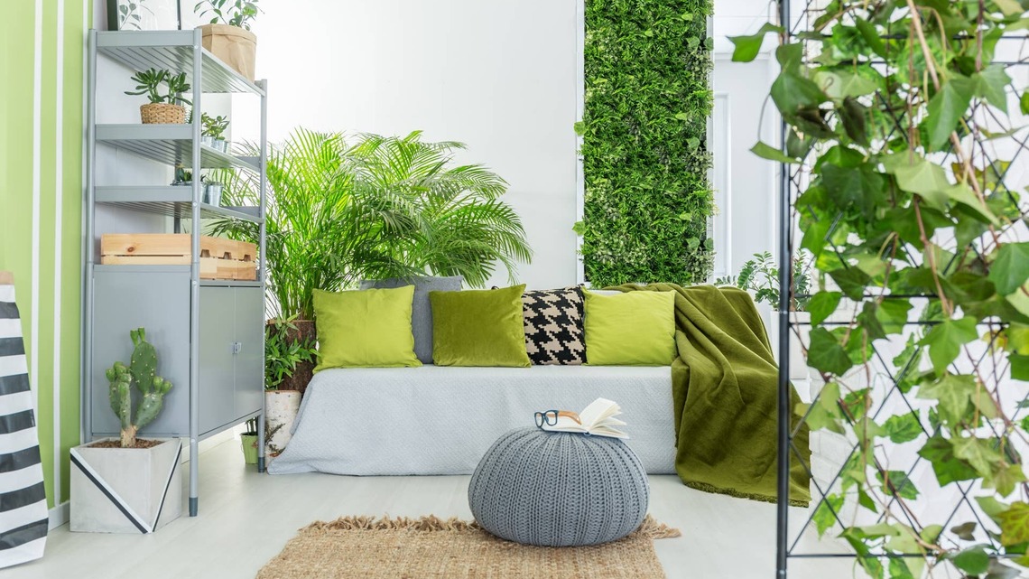 Woman Transforms an Empty Wall Into a Gorgeous Indoor Garden 