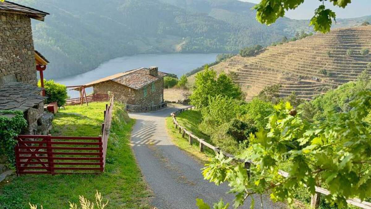  The scenery in the Ribiera Sacra is worth the hike. Photo credit: Margot Black 