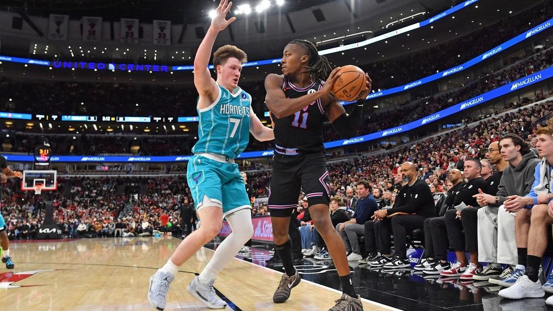 Coby White's Hornets debut in the air against former team Bulls 