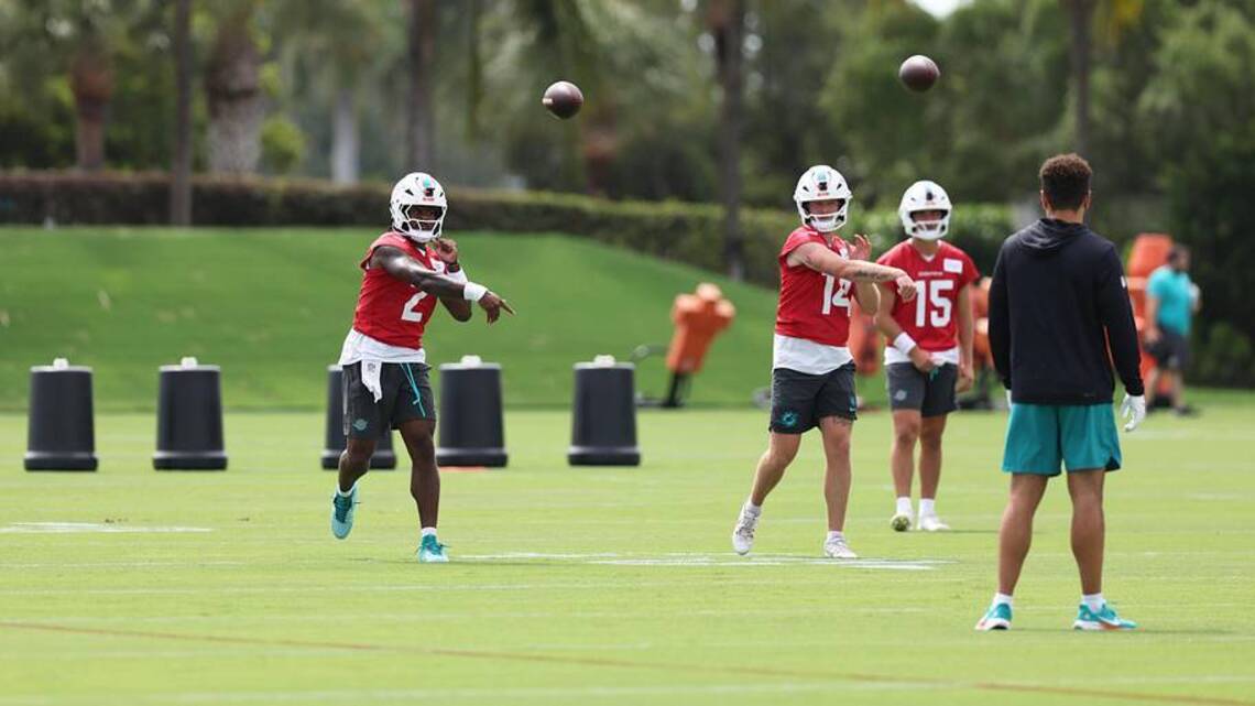 Dolphins Sunday Mailbag: Setting the Record Straight With Willis