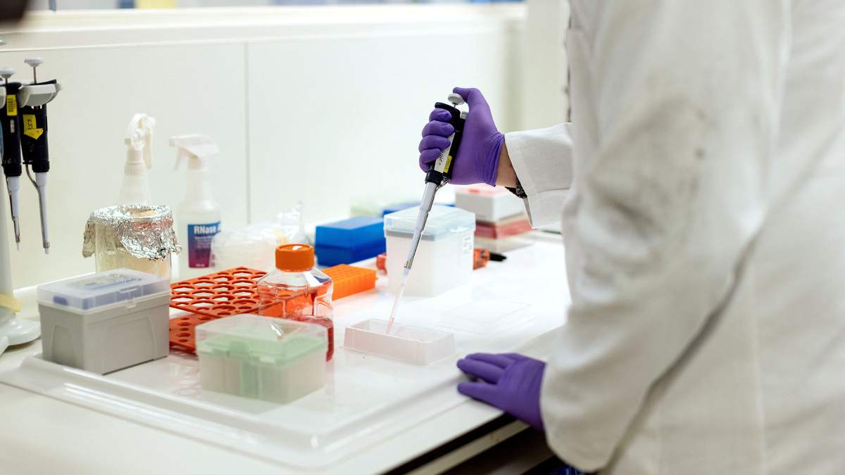 FILE PHOTO: A scientist works in a lab in Stevenage, Britain, February 21, 2023. REUTERS/Anna Gordon/File Photo