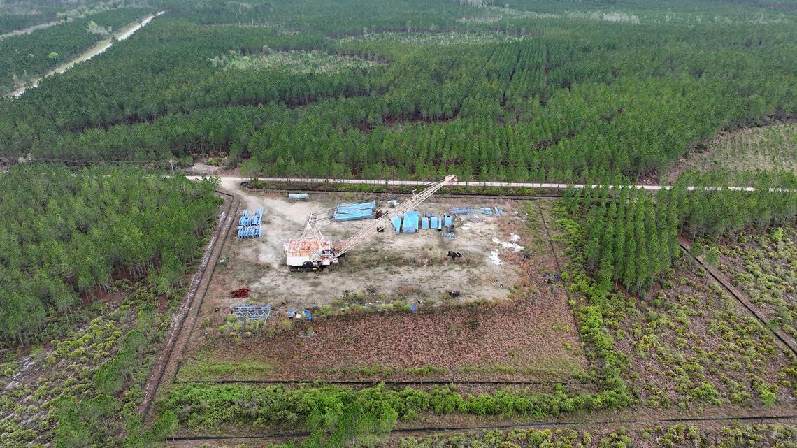 Poll of Georgians shows strong opposition to mining near Okefenokee Swamp
