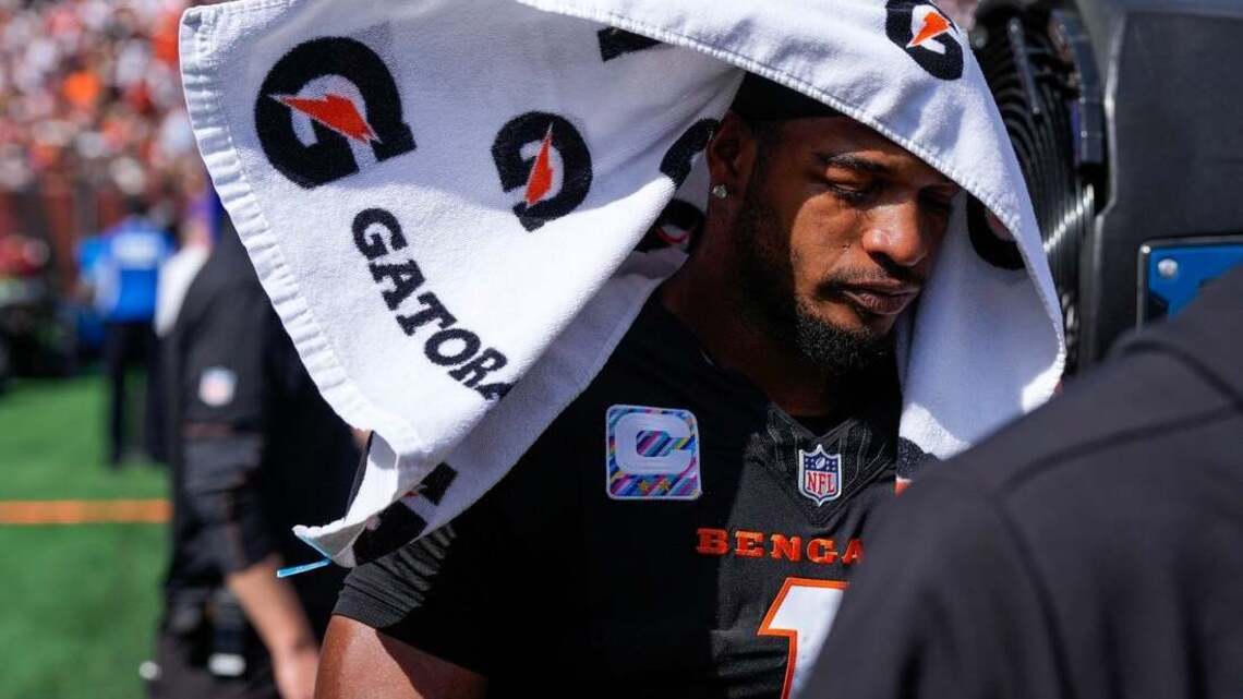 Bengals WR Ja'Marr Chase ruled out with concussion 