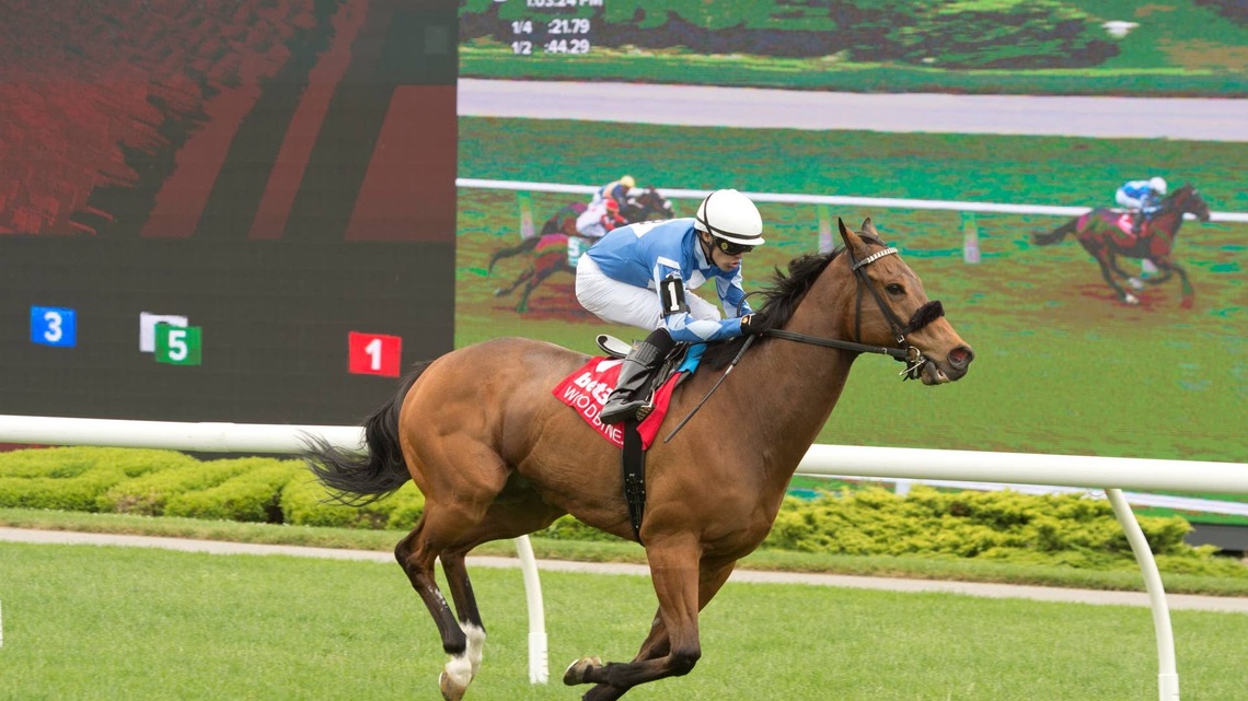 Artemus Citylimits Looks To Defend Vice Regent Stakes Title At Woodbine 