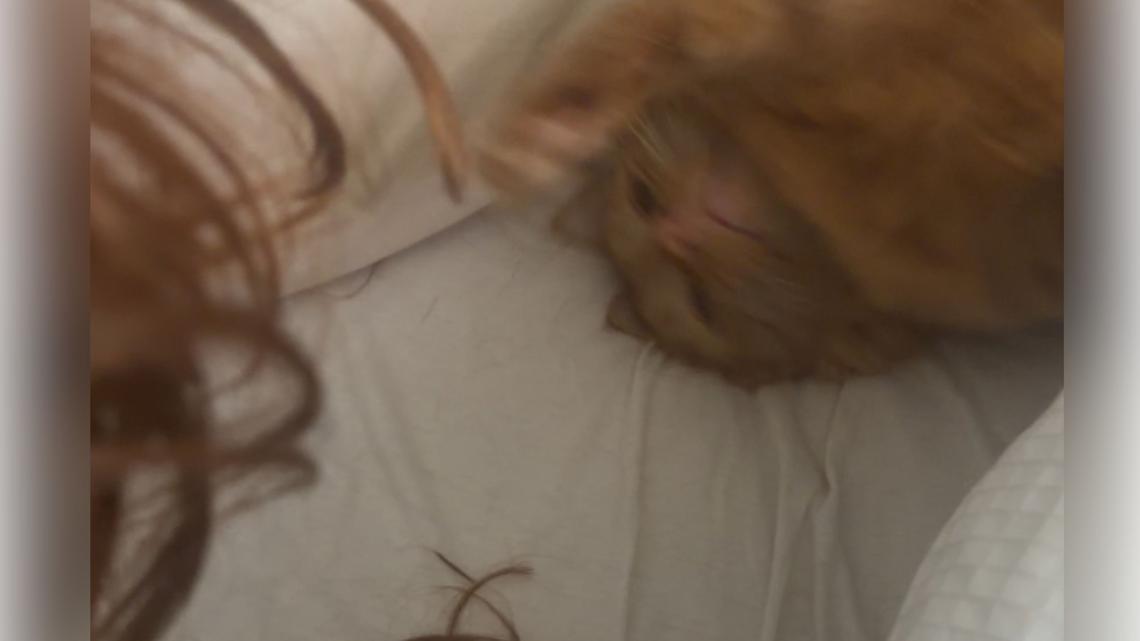 Woman Thinks Hair Shorter-Then Realizes What's Been Happening as She Sleeps 