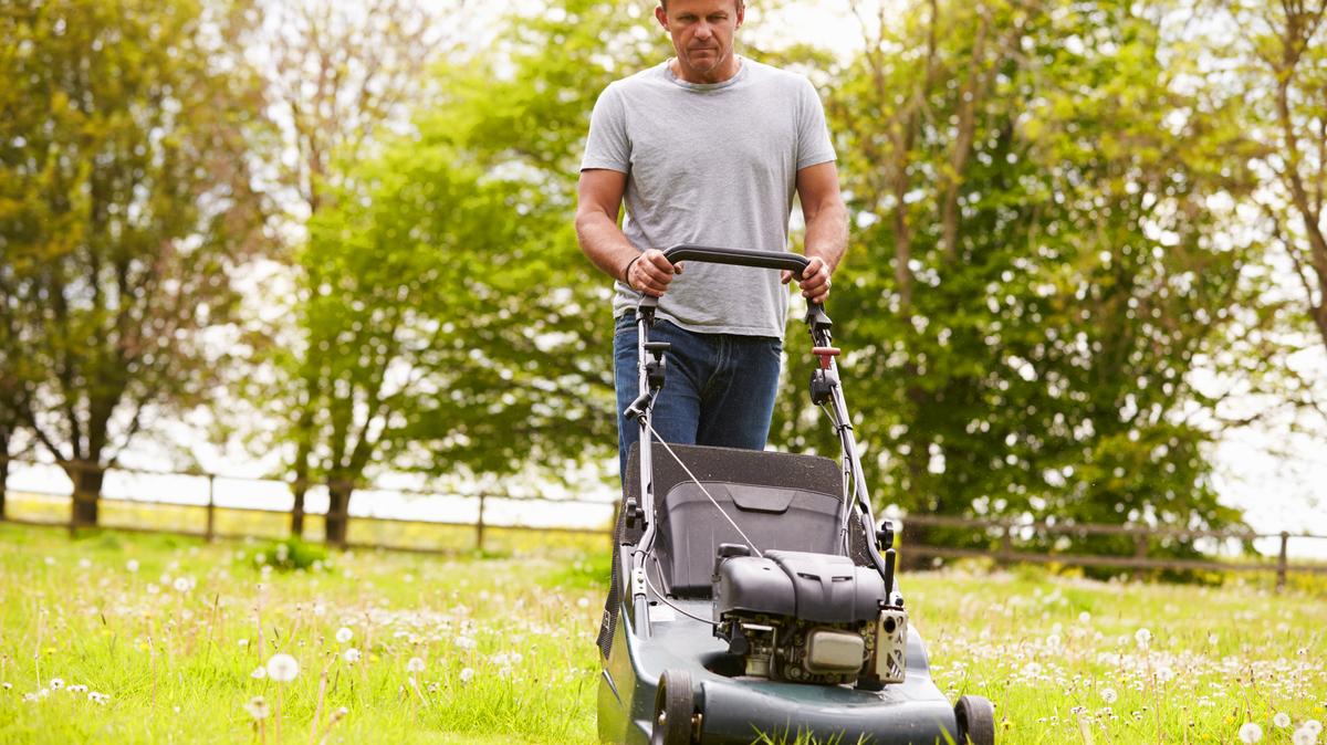 Taking care of key yard maintenance tasks early can lead to a healthier lawn and lower costs throughout the season. (Monkey Business Images/Dreamstime/TNS)