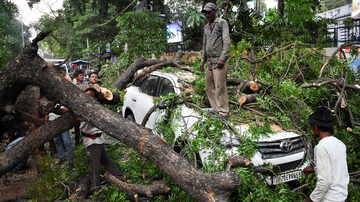 People remove a tree fallen over a car, during a heavy storm, in Prayagraj, in the northern state of Uttar Pradesh, India. REUTERS/Stringer