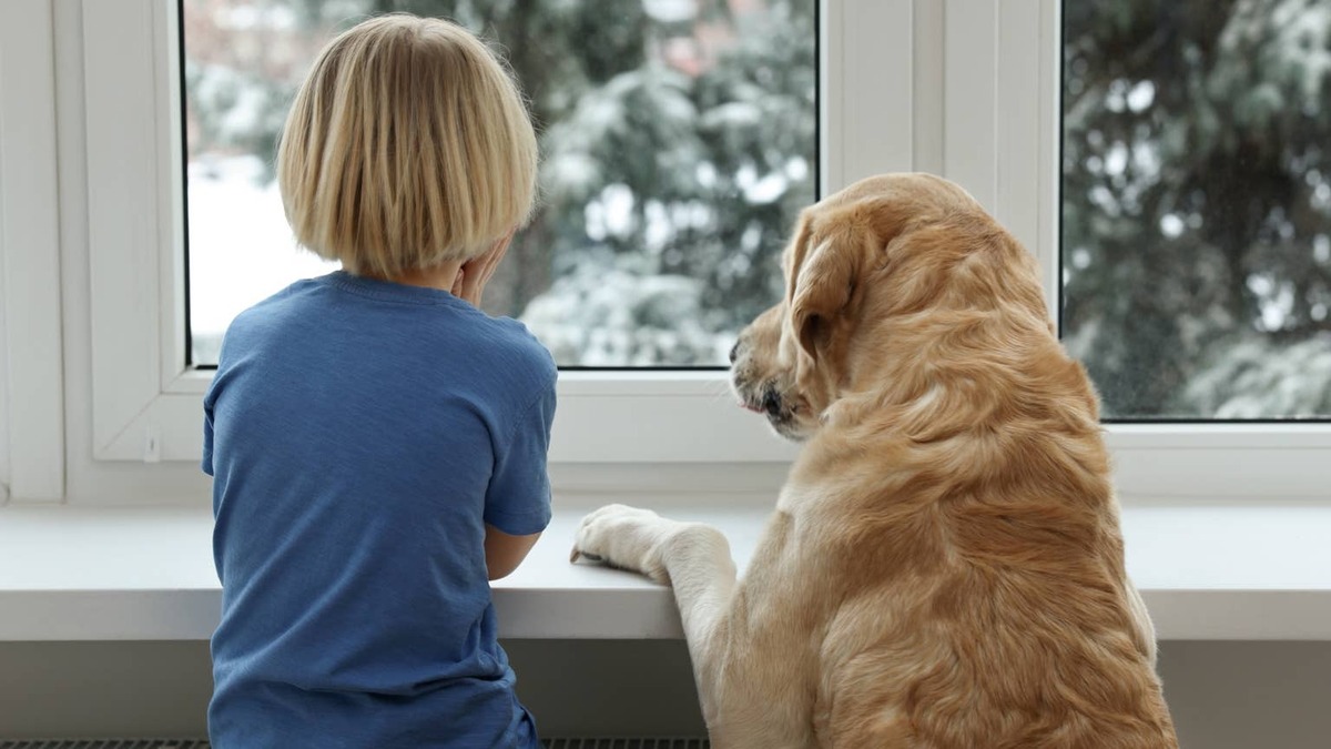 golden retriever + toddler. 