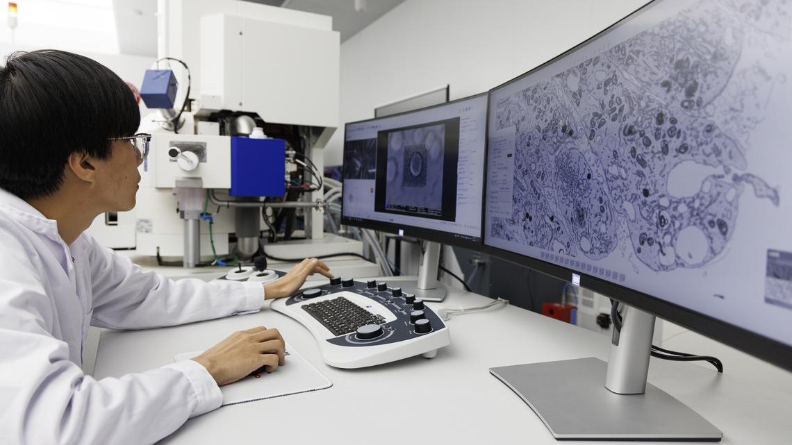 China races to build record biobank to rival US drugs research 