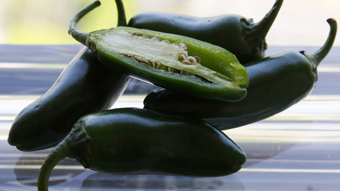 Mexican jalapeños tied to salmonella outbreak in 27 US states