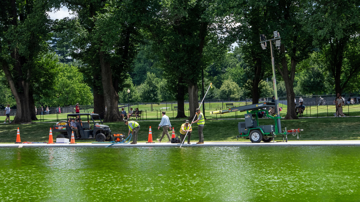 National Park Service workers at the Lincoln Memorial Reflecting Pool in Washington on Monday, June 15, 2026. Algal blooms have hit the site, between the Lincoln Memorial and the Washington Monument, after a $16 million repair project.