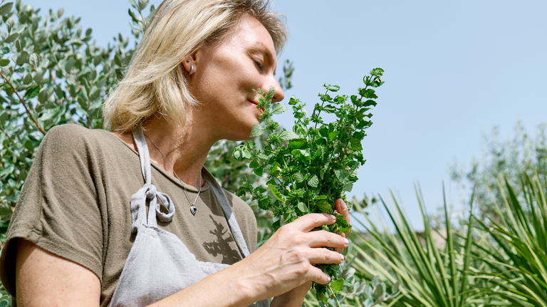 Lemon Balm for Weight Loss: Does This Viral Herbal Remedy Really Work?