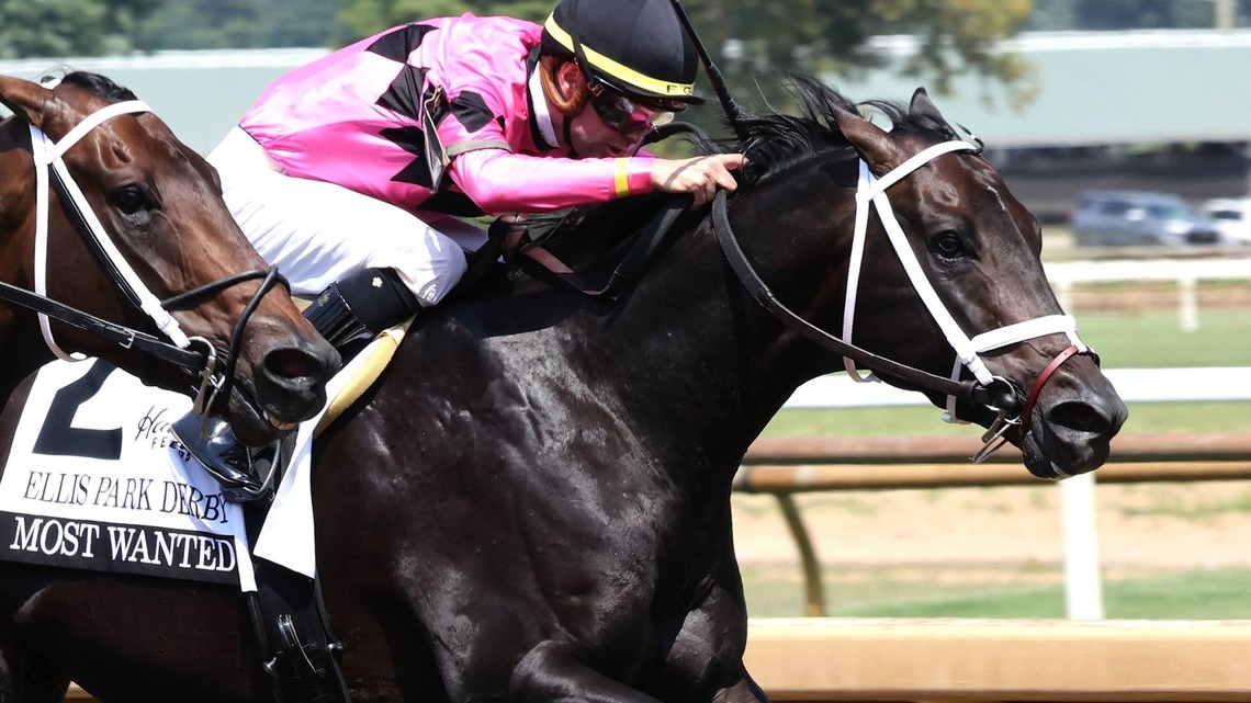 Most Wanted, Half To Life Is Good, To Stand At Irish Hill Century Farm In New York 