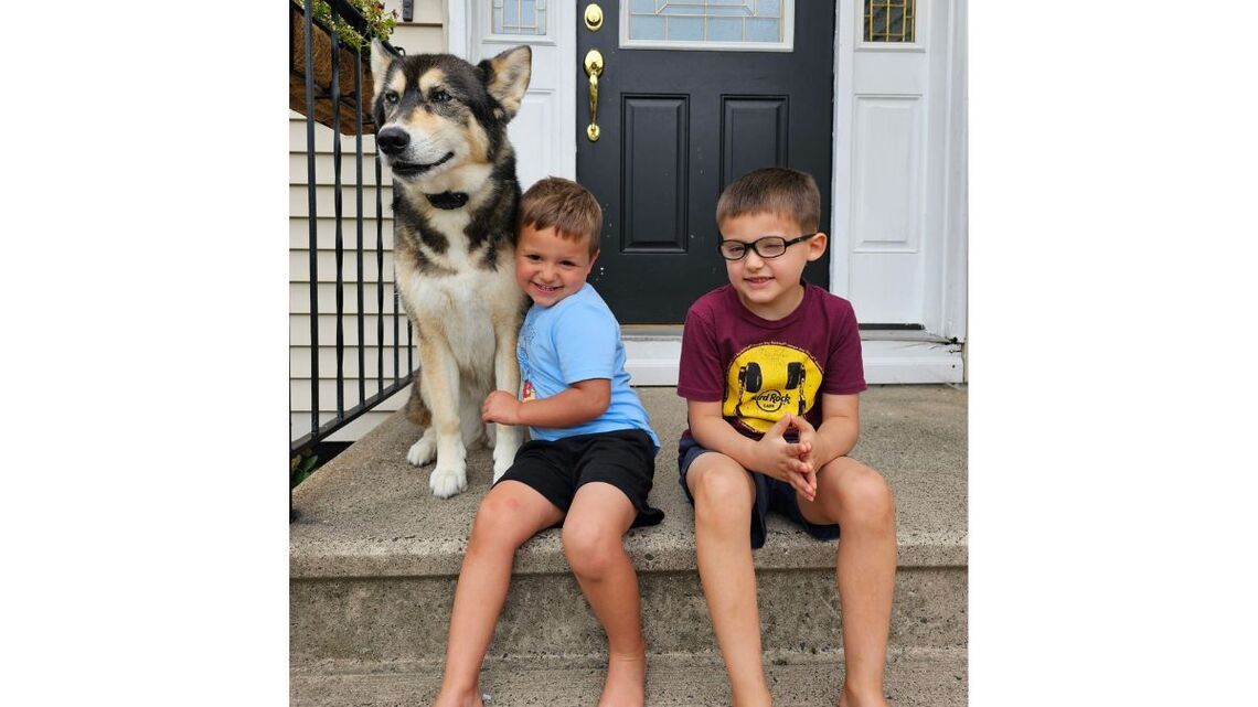 Hero Dog Saves Boy From Black Bear Attack in Connecticut Yard