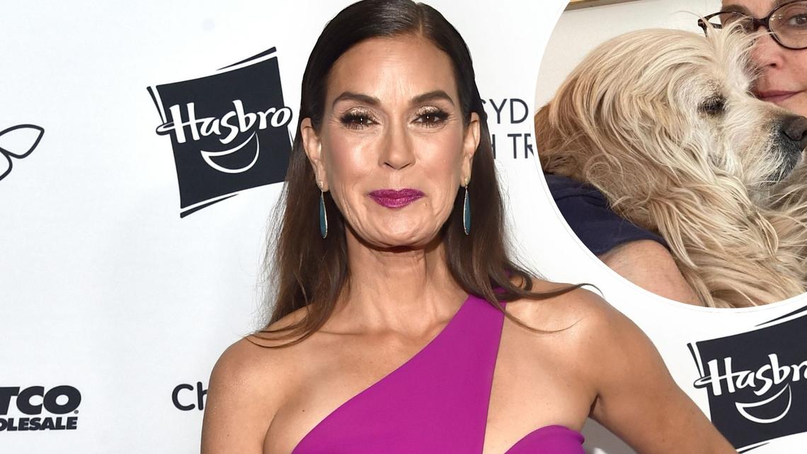 Teri Hatcher Announces the Death of Her 11-Year-Old Dog Pumpkin 