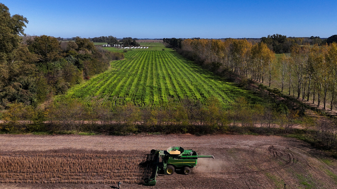 How will Latin America's super El Niño affect the top food-exporting region? 