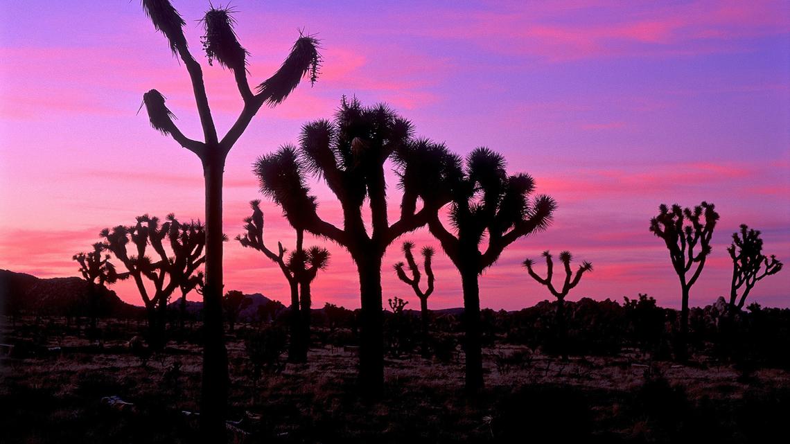 Family travel 5: Jump-start your vacation plans