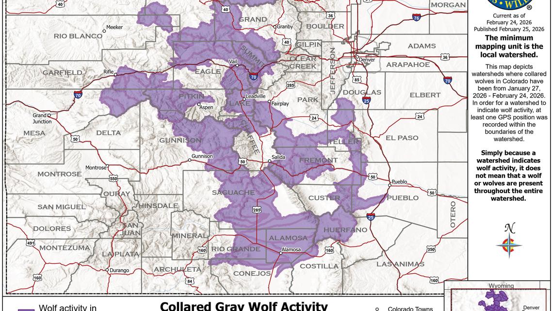 Colorado wolves pushed farther into the southern Front Range this month