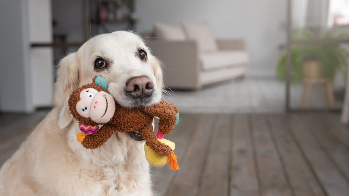 It's National Dog Day! Treat Your Four-Legged Friends to These 15+ Deals From Petco 