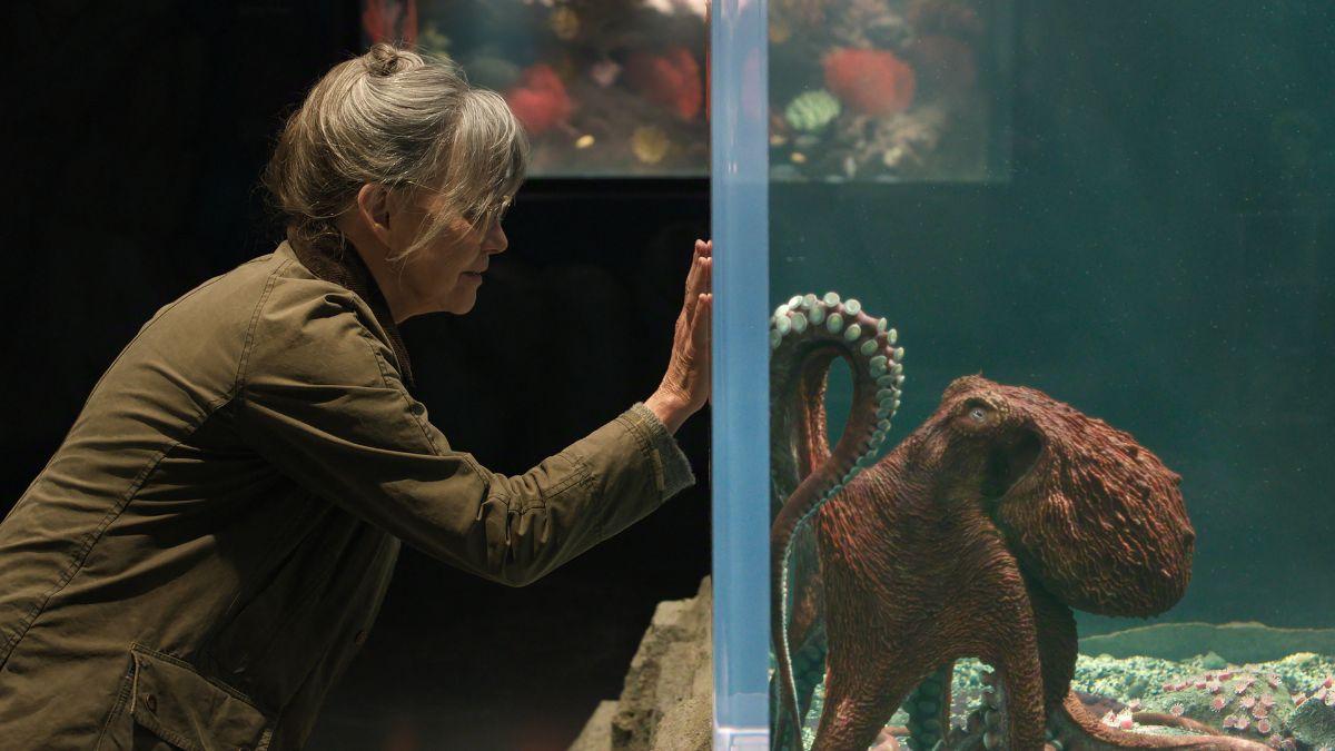 Sally Field and Marcellus the octopus in ‘Remarkably Bright Creatures’Netlfix