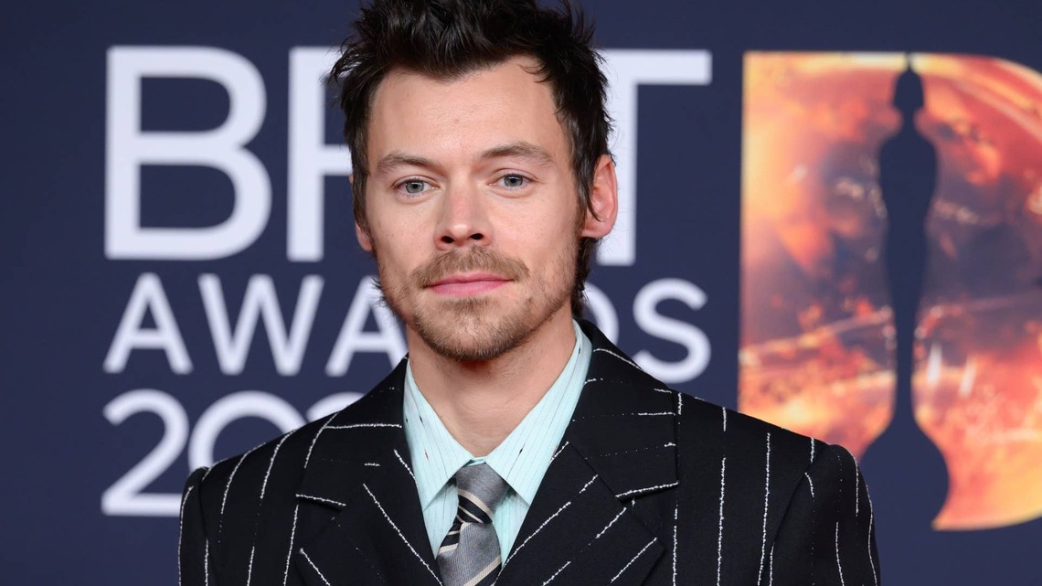 Harry Styles Gives Couple Who Got Engaged at His Concert a Sweet Role in His New Music Video 