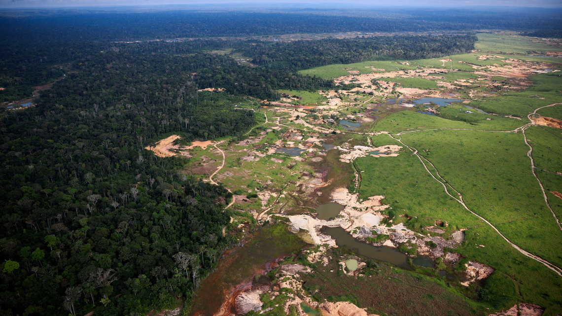 Deforestación en la Amazonía brasileña cae 36,9%, a mínimo en los registros: Gobierno 