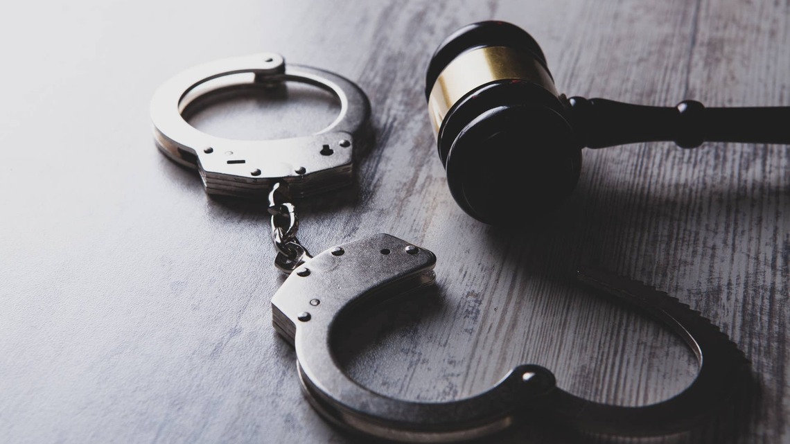 Report: 25 Slaughter-Bound Horses Intercepted In New York, Driver Charged 