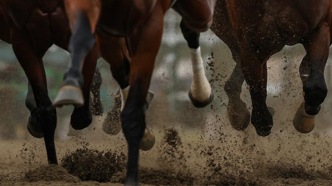 Scandal-ridden horse races in Nevada hit with revised rules 