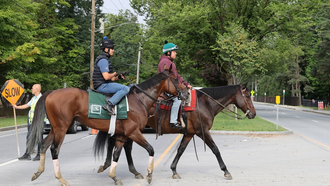 ‘Kind Of Unbelievable': Trainer Lindsay Schultz Honored To Be In Travers With Baby Vino 