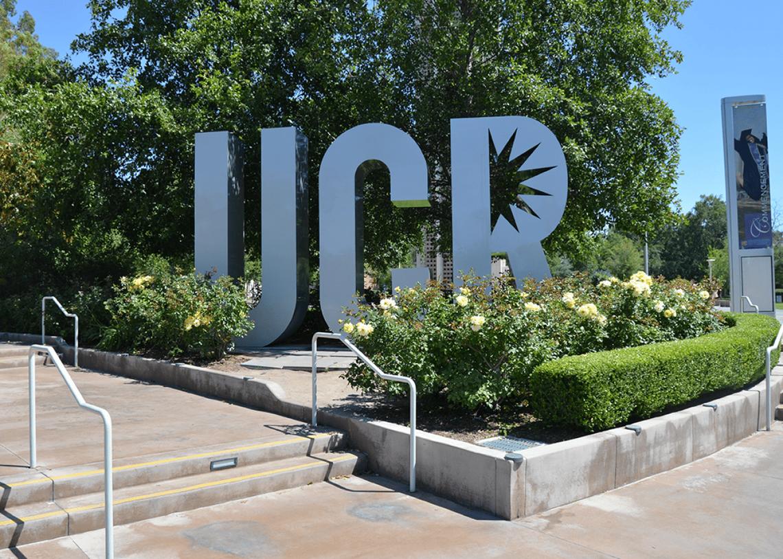  Therodrigoc // Shutterstock 