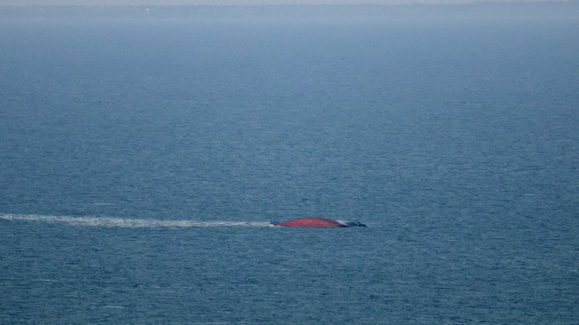 The other Hormuz: Black Sea blockade threatens a food supply shock