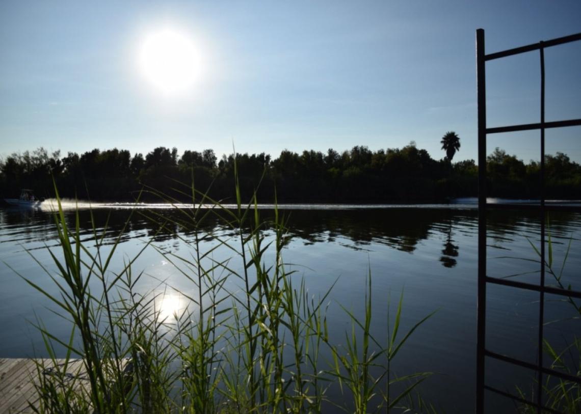  Xackery Irving // Shutterstock 